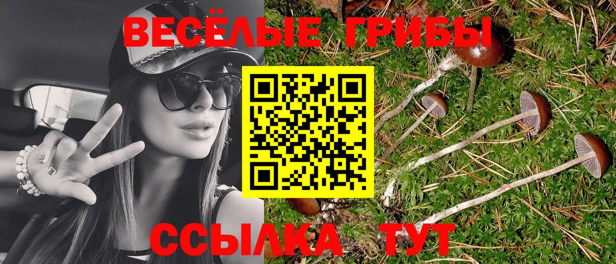 Псилоцибиновые грибы мухоморы  Галлюциногенные грибы GOLDEN TEACHER  Вход с VPN  Ессентуки 