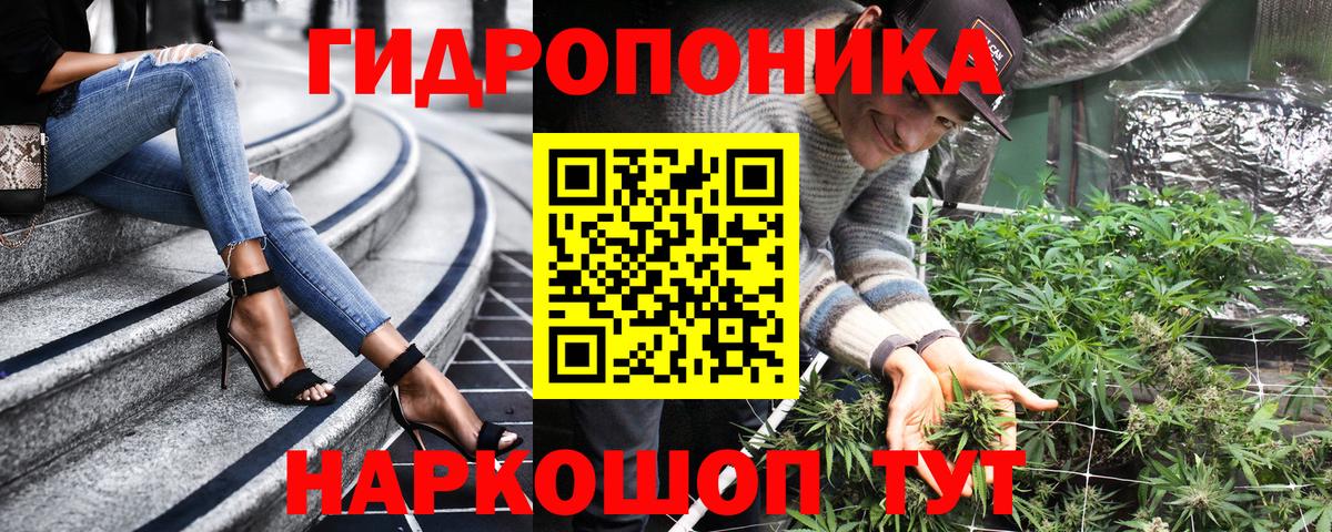 Бошки марихуана THC 21%  Вход с VPN  Ессентуки  Марихуана конопля 